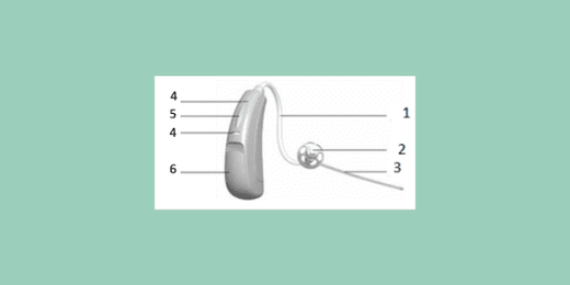 Parts of a hearing aid, what are they called?